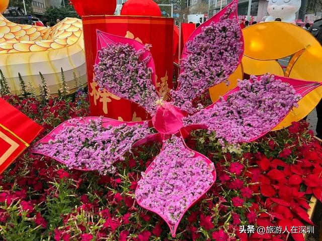 2026年深圳春节游玩全攻略，六大维度解锁年味，您最想去哪逛大年