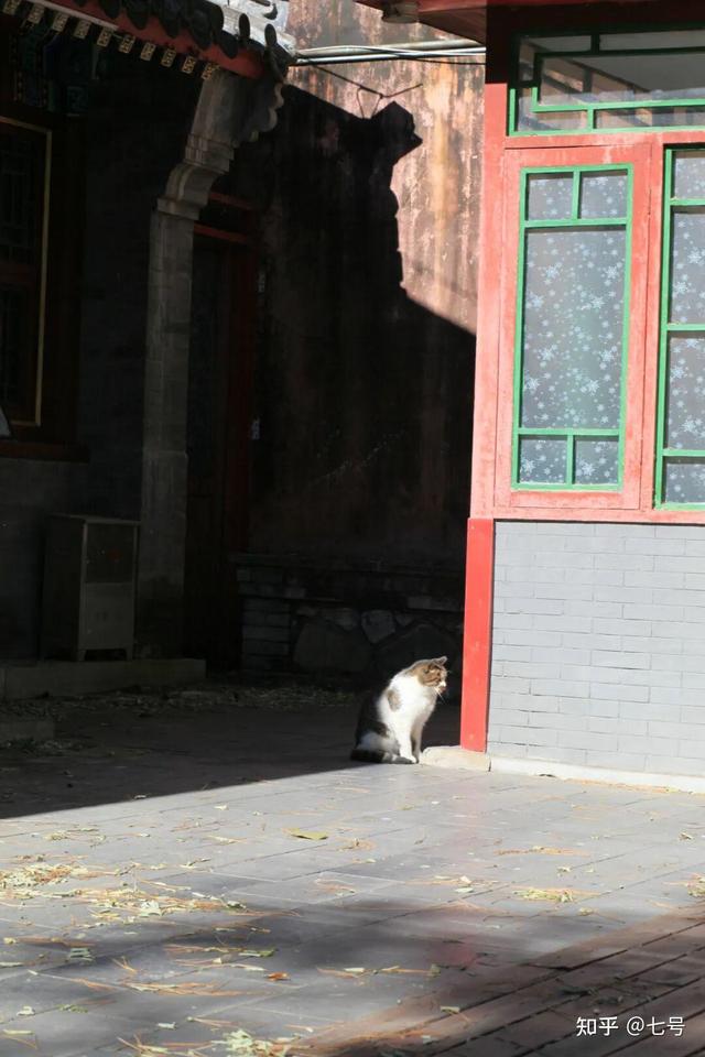 在八大处，寻到了北京最美的秋