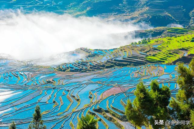 红河龙玛村，哈尼家园，每家屋顶都是观景台，推窗就是撒玛坝梯田