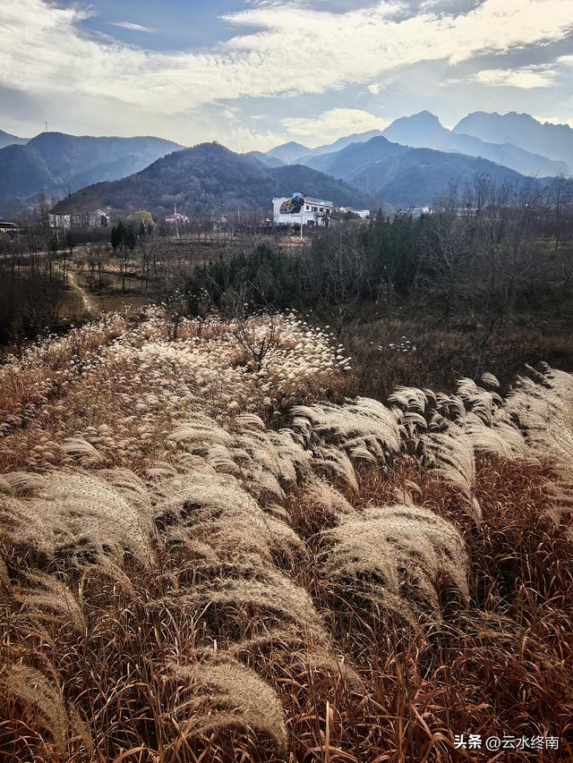 观山景看荻花，这里大概是蓝田最出片的地方了