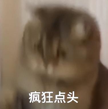 什么快递这么火，非得爸妈们亲自拆？爸妈：拆封权必须到手哈哈哈