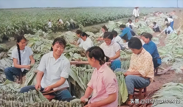 六七十年代的农村生产队老照片，原来是这样的，那段难忘的记忆！
