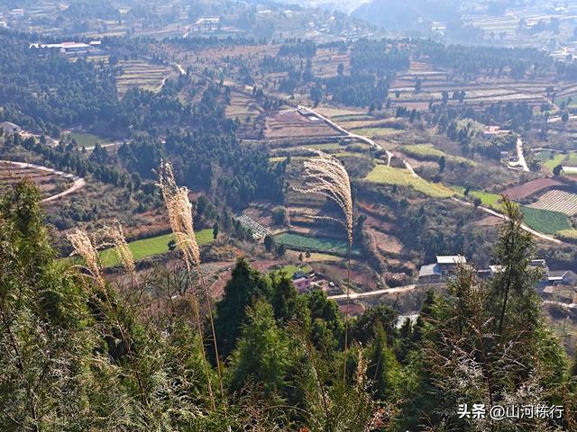 金堂老牛坡大环线，8.5km轻松登顶，看梯田、摘豌豆尖！