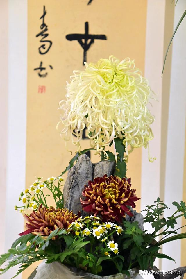 菊花是秋天里绝美的画卷