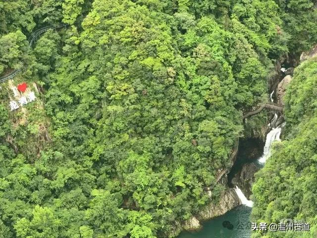 温州这个亲子游玩胜地、植物自然课堂孩子玩嗨家长不累