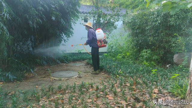 神农公园：全域消杀蚊虫，守护游客健康
