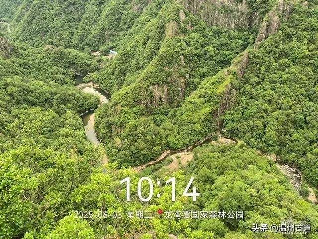 温州这个亲子游玩胜地、植物自然课堂孩子玩嗨家长不累
