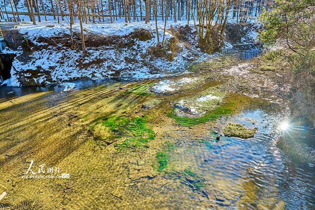 神农架第一站 神农天池的森林氧吧之旅