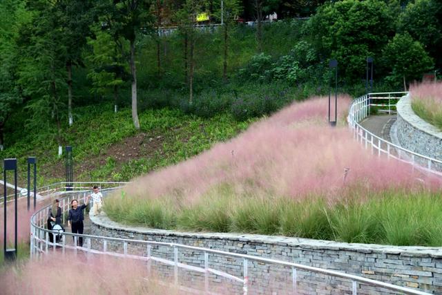 谁说重庆没有秋天?都藏在这些公园里→