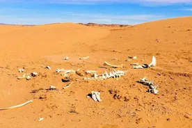 为什么不能在西藏无人区小便？后果你真的承受不了图片