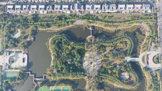 瞰盘锦｜盘锦之秋系列报道——兴隆台：晚秋登场，邂逅绚烂