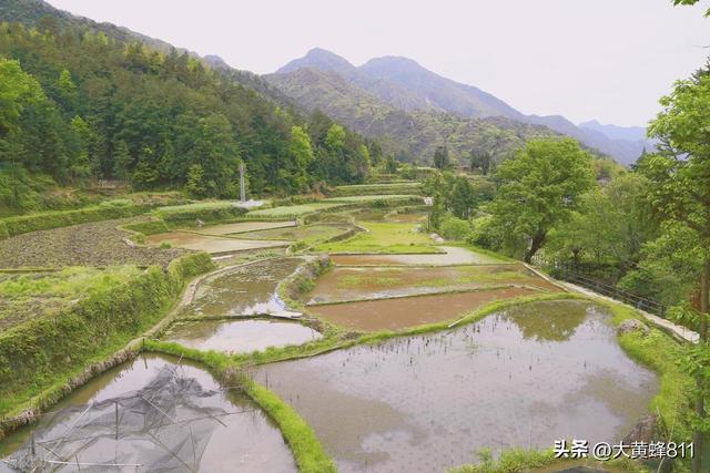 认识大美浙江的每个县——第27波：青田