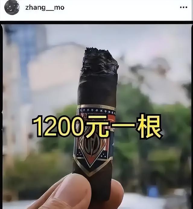 再多钱有什么用？70岁身家过亿的张国立，还是要为43岁儿子操碎心