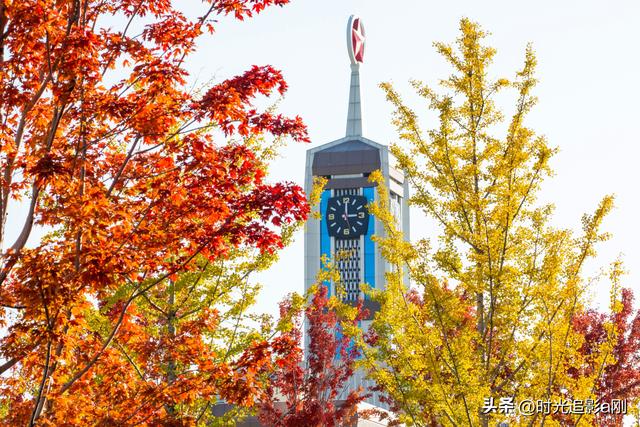 在正太广场，捡一片秋，装下整个城市的温柔！