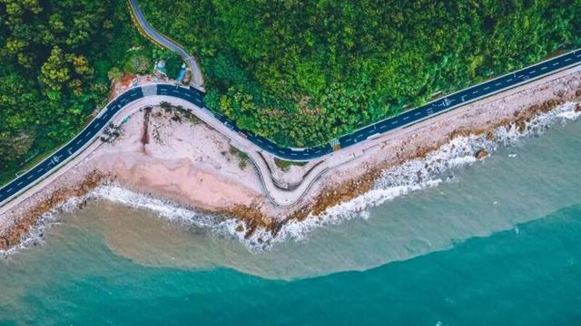 “宜居深圳”道路篇：山海与都市的交响