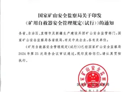 划重点！国家矿山局印发《矿用自救器安全管理规定（试行）》图片