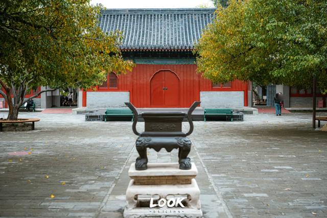 北京最新秋日打卡地 · 再看要等明年