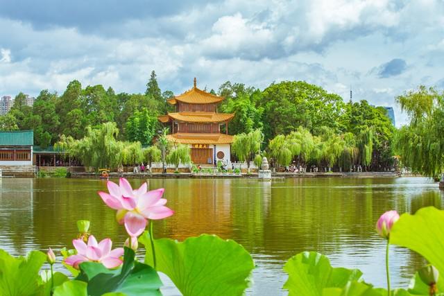 2025中国康养城市10强榜单出炉，海口第2，昆明第4！