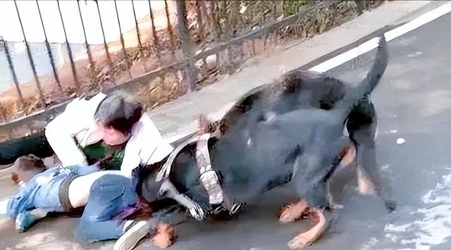 人大代表一席话问住养犬人：你的宠物狗，凭什么让他人付出代价？