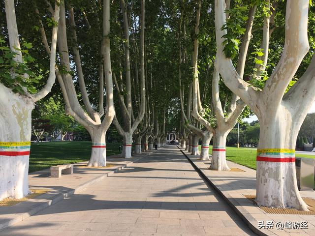 漫步华北军区烈士陵园，在白求恩大夫墓地前驻足良久