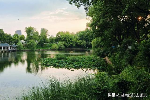 1h车程，带娃在这里挖到“宫崎骏同款夏天”！