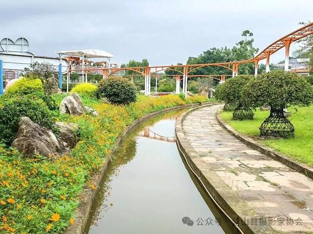 李永辉：寻芳“花舞人间”