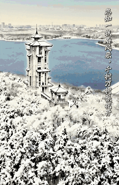 被赵立坚“点名”，长春在干什么