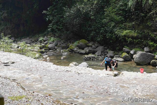“渝黔生物基因库”黑山谷游记