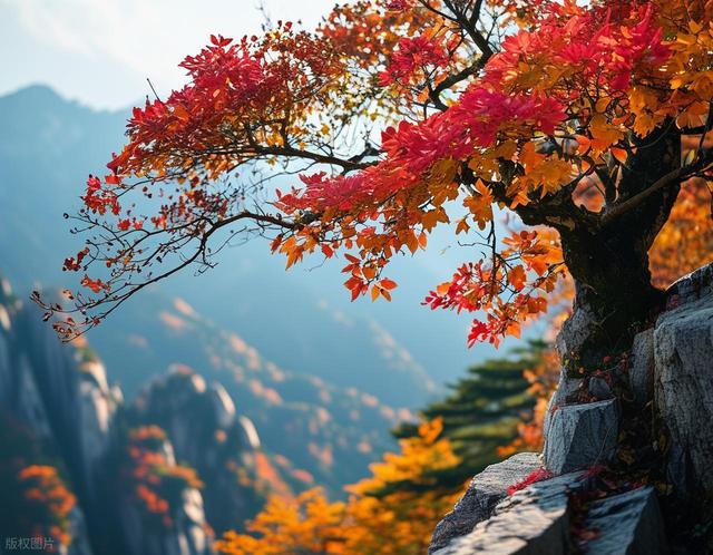 九华山游玩攻略-云游美丽中国系列