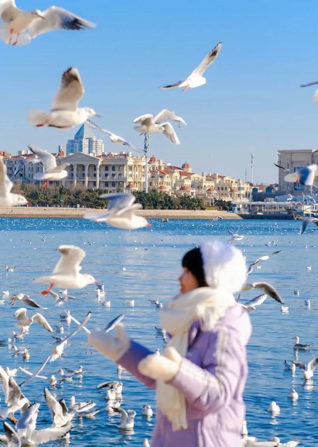 “鸥遇！鸥遇！”海鸥季潍坊启航派对，优惠惊喜等你来逛~