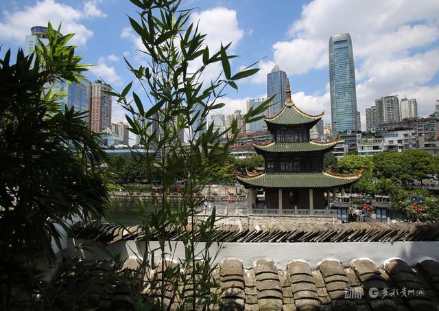 贵阳巷里走｜翠微巷：老城诗意与烟火的交响