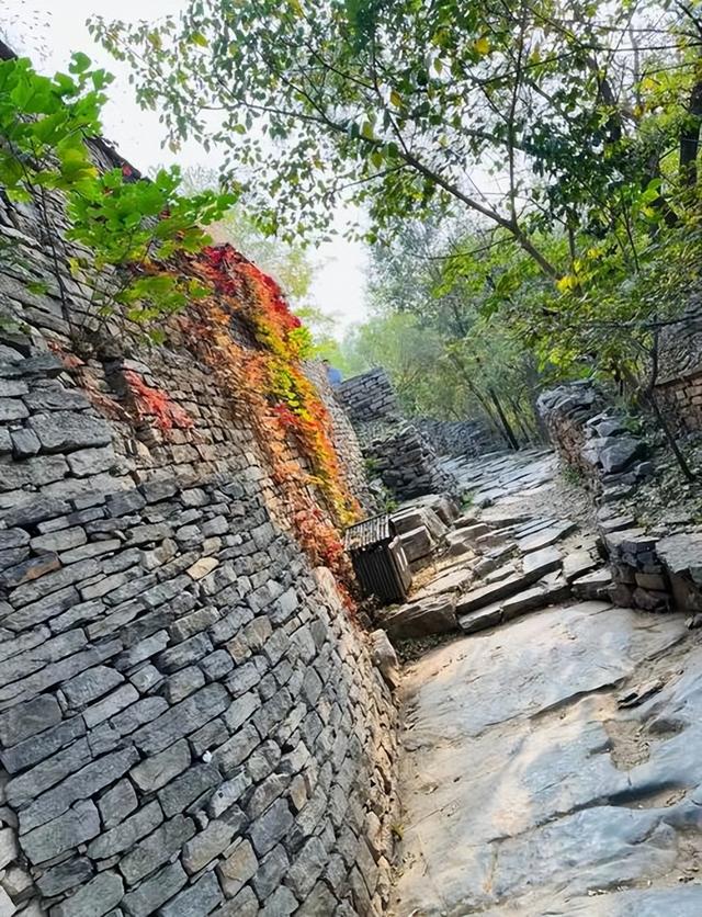 山东藏着座千年古城，免费又好逛，高铁1小时直达，现在去正合适