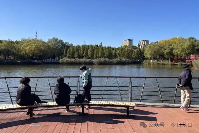 最近，龙口这两个地方美出了新高度！很多人都去打卡~~~