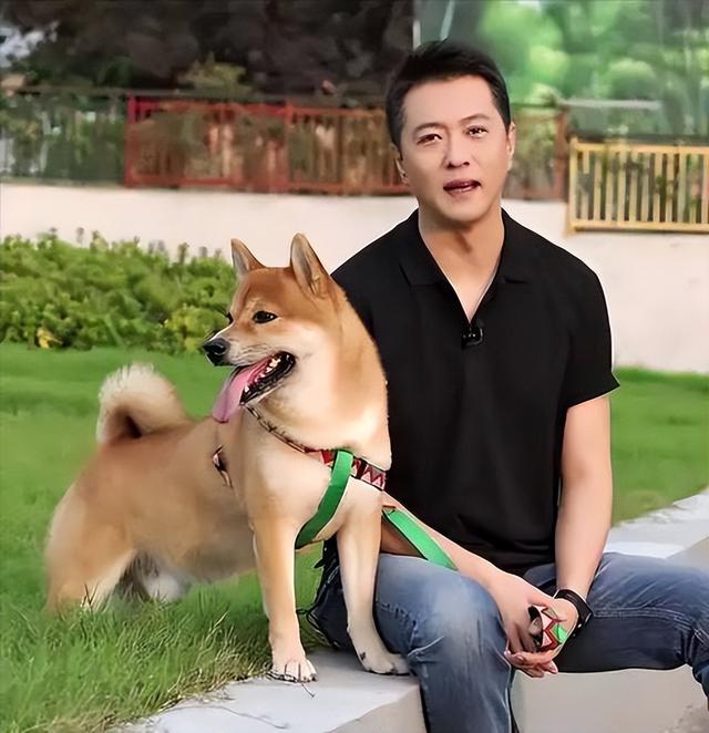 从确诊到去世仅15天，“央视最帅主持人	”的遭遇为人们敲响警钟