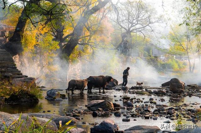 秋色正斑斓！信阳赏秋打卡地推荐