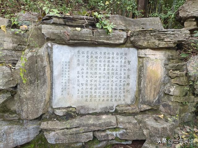 无为在歧路，济南红叶谷