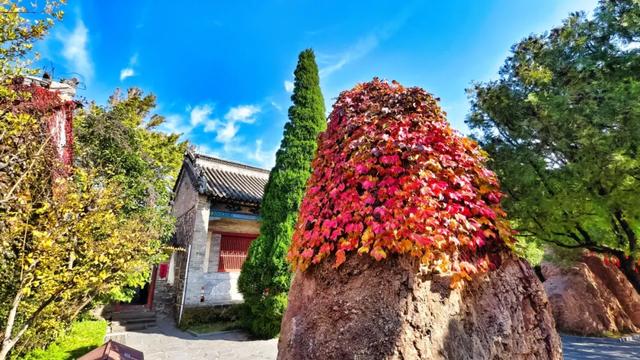 此时的你，被美到了！