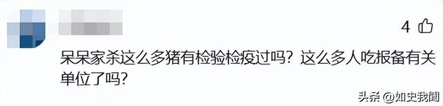 呆呆妹也没想到，杀猪宴收官才1天	， 一家人就走上了大衣哥的老路