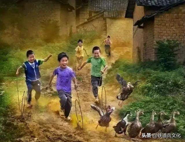 孙映 || 大美灌云，我永远的巢一一离开灌云县56年记