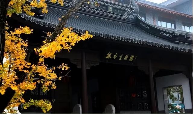 跟着色彩游临沂 | 红叶漫山・秋韵沉醉之旅 美到尖叫