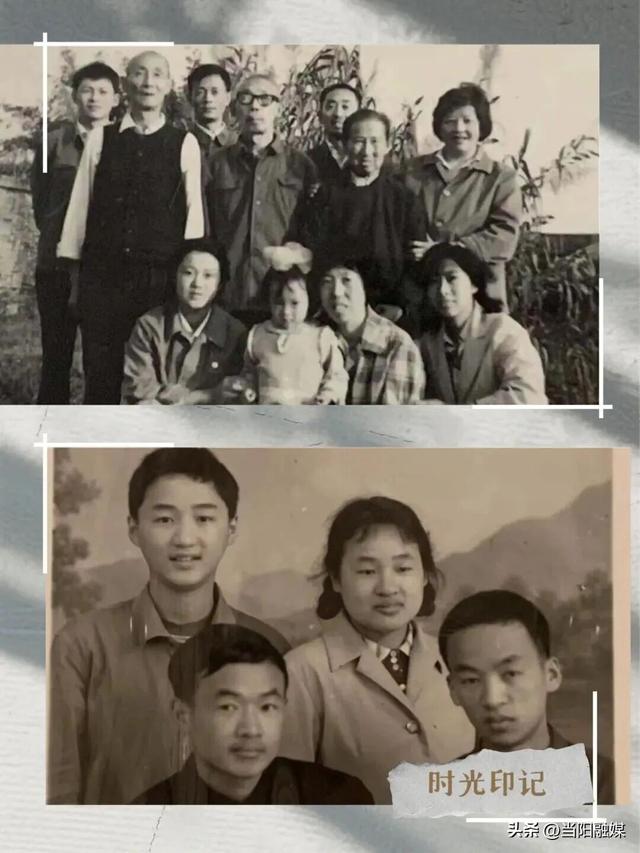 当阳这些活动，上新！