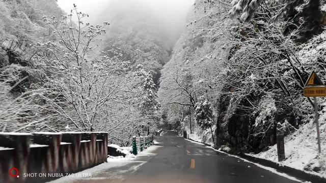 红河谷丨雪落林深处，山谷藏冬韵