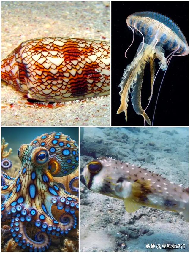 当大海露出獠牙：海边游玩的安全必修课