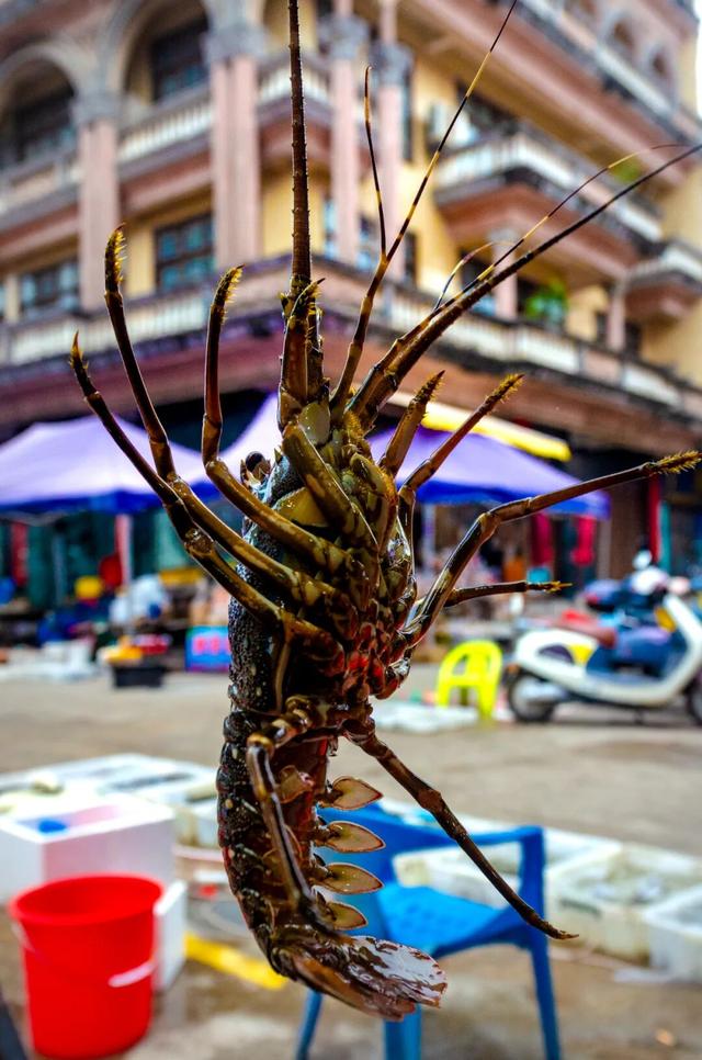 避寒旅居首选！这9座城均温20℃起，人少便宜，好吃好玩，推荐！