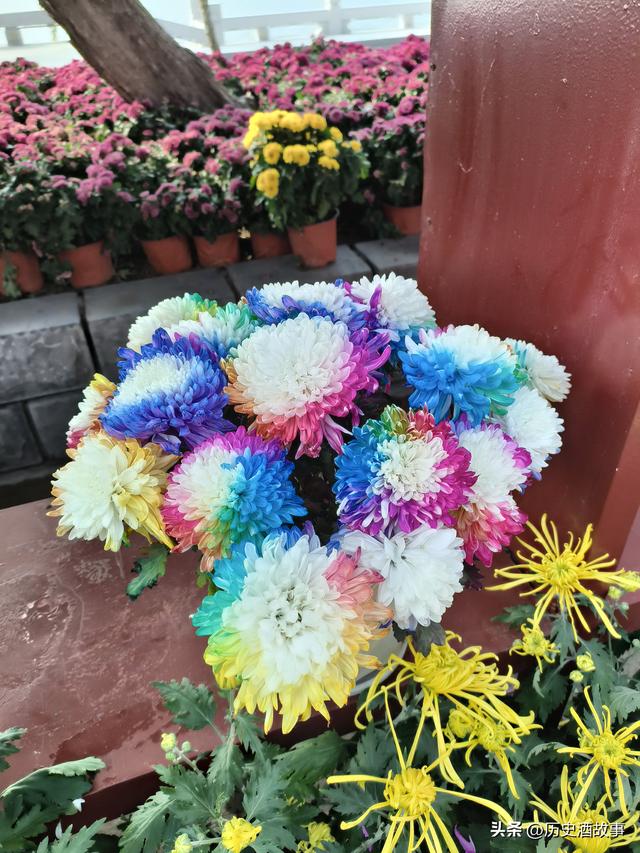 开封西区，找不到夜市了！