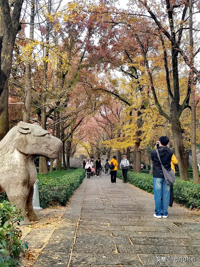最美石象路，我来咯