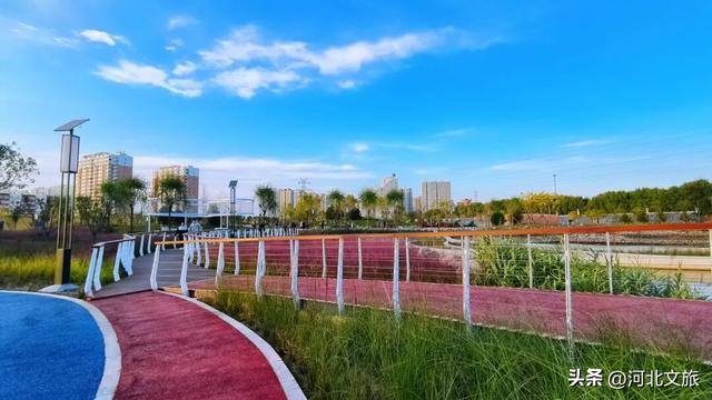 实拍!秦皇岛家门口的免费好去处,这个百亩湿地公园晚上也能逛~