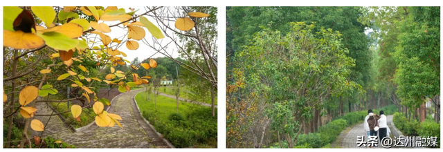 Run渠县，每一步都“热辣滚烫”