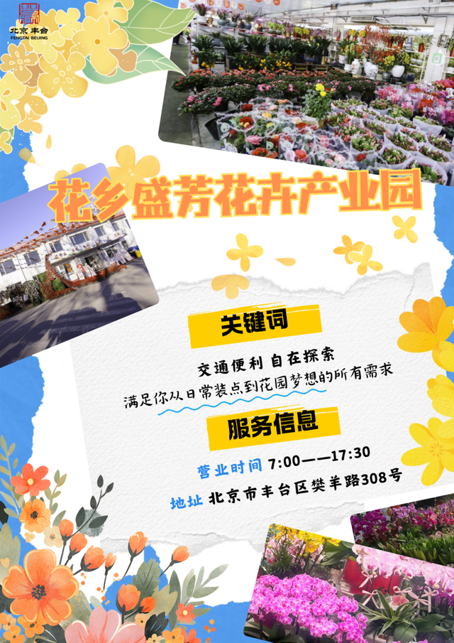 丰台这7家宝藏花卉市场，承包你冬日的盎然“生机”