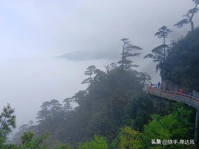 2025湖南行：仙气飘飘～莽山五指峰